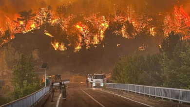 تصویر آتش‌سوزی جنگلی در ترکیه؛ ۲۴ آتش‌نشان کشته و زخمی شدند