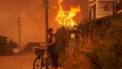 تصویر آتش‌سوزی‌ها در ترکیه؛ ۵۰ هزار نفر مجبور به ترک خانه های خود شدند