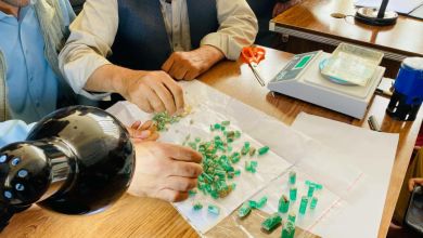 تصویر فروش بیش از ۳ هزار قیراط زمرد پنجشیر به ارزش ۳۳۲ هزار دالر در مزایده رسمی 