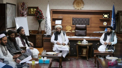 تصویر هويت نزدیک به دو هزار بازگشت کننده برای دریافت کار شریک شد