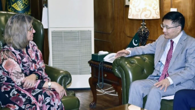 Photo of Chinese, Pakistani officials hold talks on Afghan security threat