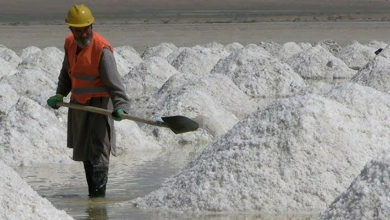 تصویر افغانستان با تولید ۳۴۴ هزار تُن نمک به خودکفایی رسید 
