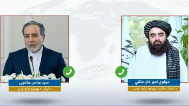 تصویر گفت‌وگوی سرپرست وزارت خارجه کشور و وزیر خارجه ایران درباره اخراج مهاجران و بحران غزه 