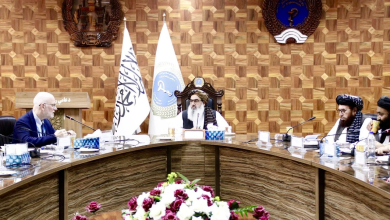 تصویر سرپرست صحت‌عامه با هیئت‌های بین‌المللی برای مبارزه با پولیو و تقویت خدمات صحی دیدار کرد