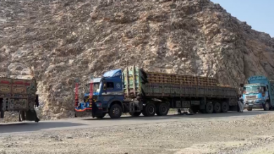 Photo of 400 Trucks of Fresh Fruits and Vegetables Stranded at Torkham