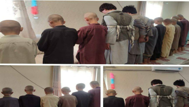 تصویر بازداشت باند ۱۲ نفری سارقان حرفه‌ای شامل کودکان در سمنگان 