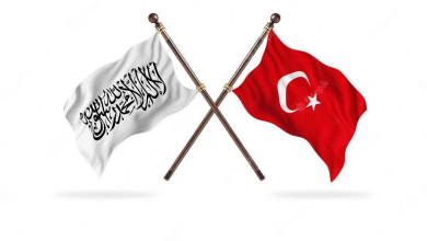 تصویر رئیس بنیاد معارف ترکیه با والی هرات دیدار کرد