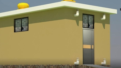 تصویر سازمان خوراک و کشاورزی ۱۲۰ سردخانه‌ برای نگه‌داری پیاز می‌سازد