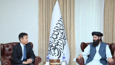 Photo of International community should view Afghanistan’s progress positively: deputy FM