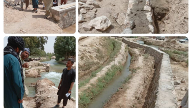 تصویر بازدید کارمندان زراعت بلخ از پروژه چکدم و دیوار محافظوی در چمتال 