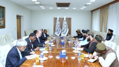 تصویر دیدار معاون وزارت خارجه با یونیسف: تأکید بر آموزش کودکان و حمایت از بازگشت‌کنندگان 