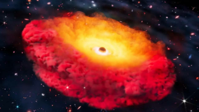 تصویر کشف قدیمی‌ترین سیاهچاله جهان در کهکشان CAPERS-LRD-z9 توسط ستاره‌شناسان دانشگاه تگزاس 