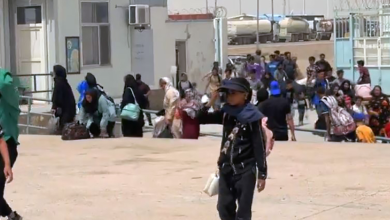 Photo of Nearly 1.5 million Afghans forced to return from neighboring countries: WFP