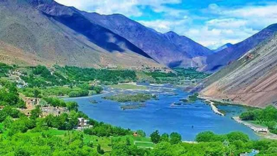 تصویر تعهد علما و سرمایه‌گذاران ۱۰ کشور اسلامی به توسعه تجارت در پنجشیر 