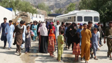 Photo of 350 Afghan Detainees Returned from Pakistan via Torkham