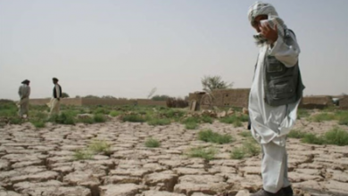 Photo of Afghanistan Urges Global Support to Tackle Climate Change