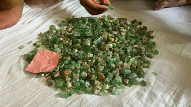 تصویر فروش ۱۲۵ کیلوگرم سنگ‌های قیمتی بیروج و کونزیت در نورستان به ارزش بیش از ۵ میلیون افغانی 