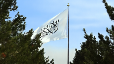 Photo of Islamic Emirate Welcomes Central Asia Contact Group for Afghanistan