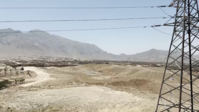 Photo of Kabul Trade Township Opens to Process European Imports