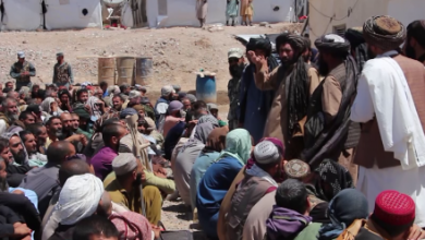 Photo of 30,000 Drug Addicts Rehabilitated in Herat Over the Past Three Years