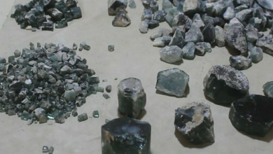 تصویر فروش ۱۵.۵ کیلوگرم سنگ‌های قیمتی بیروج در کنر به ارزش ۶۹ میلیون افغانی 