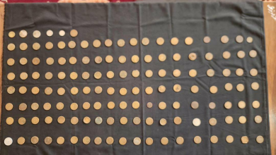 تصویر جلوگیری از قاچاق ۱۳۹ سکه تاریخی در میدان هوایی قندهار 