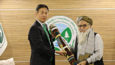 Photo of Khalis urges Japanese support for Islamic Emirate’s participation at COP30