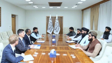 Photo of Afghan refugees should be allowed to return with dignity, says deputy FM