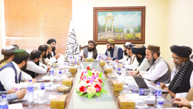 تصویر تأیید گزارش فرصت‌های عایداتی وزارت مالیه در جلسه کمیسیون اقتصادی 