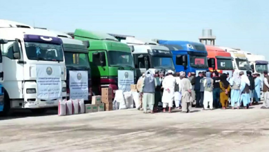 تصویر تحویل ۳۰۰ تُن کمک‌های بشردوستانه ازبکستان به مقامات محلی بلخ 