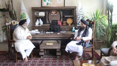 تصویر یک شرکت هندی خواستار خرید محصولات افغانستان شد