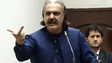 تصویر گنداپور: به دلیل باطل شدن پاسپورت، نمی‌توانم به افغانستان سفر کنم