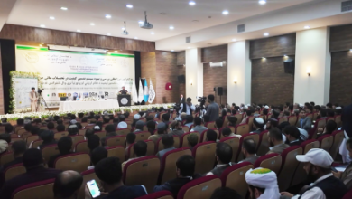 Photo of Herat Hosts First International Conference on Higher Education Quality