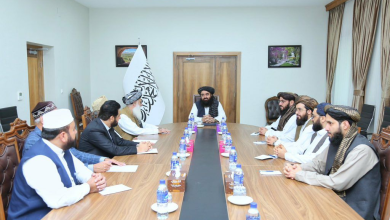 تصویر دیدار وزیر امور خارجه با هیئت جماعت اسلامی پاکستان: تأکید بر روابط مثبت و تبادل هیئت‌ها 