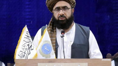 تصویر سفر معین صحت عامه به هند برای شرکت در نمایشگاه خدمات طبی 