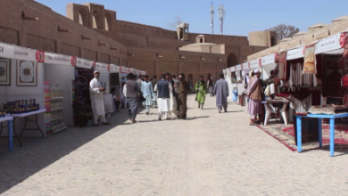 Photo of Seven-Day Art Exhibition Held at Ikhtiyaruddin Citadel in Herat