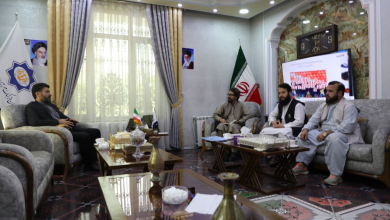 تصویر تلاش‌های مشترک ایران و افغانستان برای برگزاری نمایشگاه علمی و تورهای گردشگری 