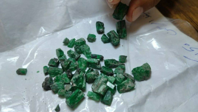 تصویر فروش ۳۷۰۳ قیراط زمرد استخراجی از معادن پنجشیر به ارزش ۲۸۵۰۰ دالر 