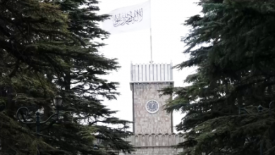 Photo of Islamic Emirate Welcomes Regional Stance from Russia, China, Iran, Pakistan