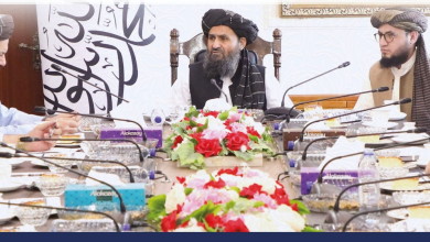 تصویر مسوده‌ٔ پالیسی پروسس و صادرات مواد معدنی تایید شد