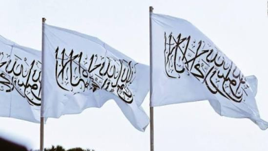 تصویر هیات امارت اسلامی به اتریش سفر کرده است 