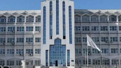 تصویر وزارت عدلیه قانون جلوگیری از قاچاق مواد غذایی، ادویه و محصولات صحی را منتشر کرد 