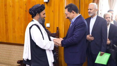 تصویر دیدار معاون اقتصادی ریاست‌الوزرا با هیأت ایرانی برای تقویت تجارت و ترانزیت 