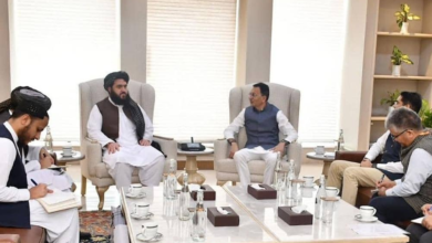 تصویر تأکید افغانستان و هند بر ایجاد تسهیلات برای تاجران دو کشور