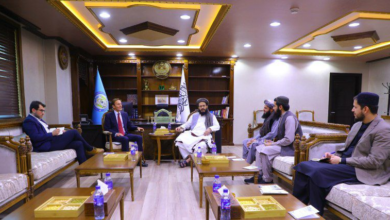 تصویر دیدار معاون وزارت امور داخله با نماینده ویژه بریتانیا برای افغانستان 