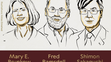 تصویر برندگان جایزه نوبل طبی ۲۰۲۵ معرفی شدند 