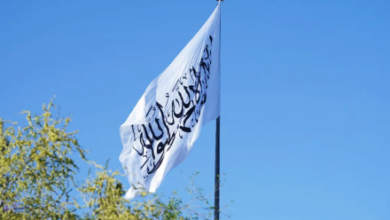 Photo of Islamic Emirate: Afghan-Tajik Border Secure, Receives Special Attention