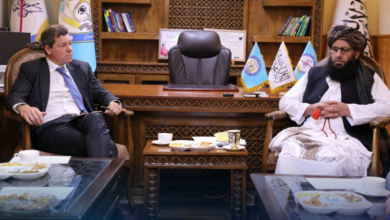 تصویر تأکید بر همکاری‌های جهانی در مبارزه با مواد مخدر در دیدار معین وزارت داخله با یوناما 