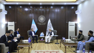 تصویر دعوت رسمی ترکیه از نورالدین عزیزی برای شرکت در نشست اکو و نمایشگاه حلال ۲۰۲۵ 