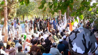 تصویر نزدیک به ۲۰۰ زندانی از محبس هرات آزاد شدند